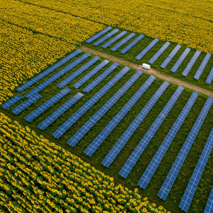 Bonus CER 40% 2025: nuove regole, beneficiari e modalità di richiesta per impianti verdi